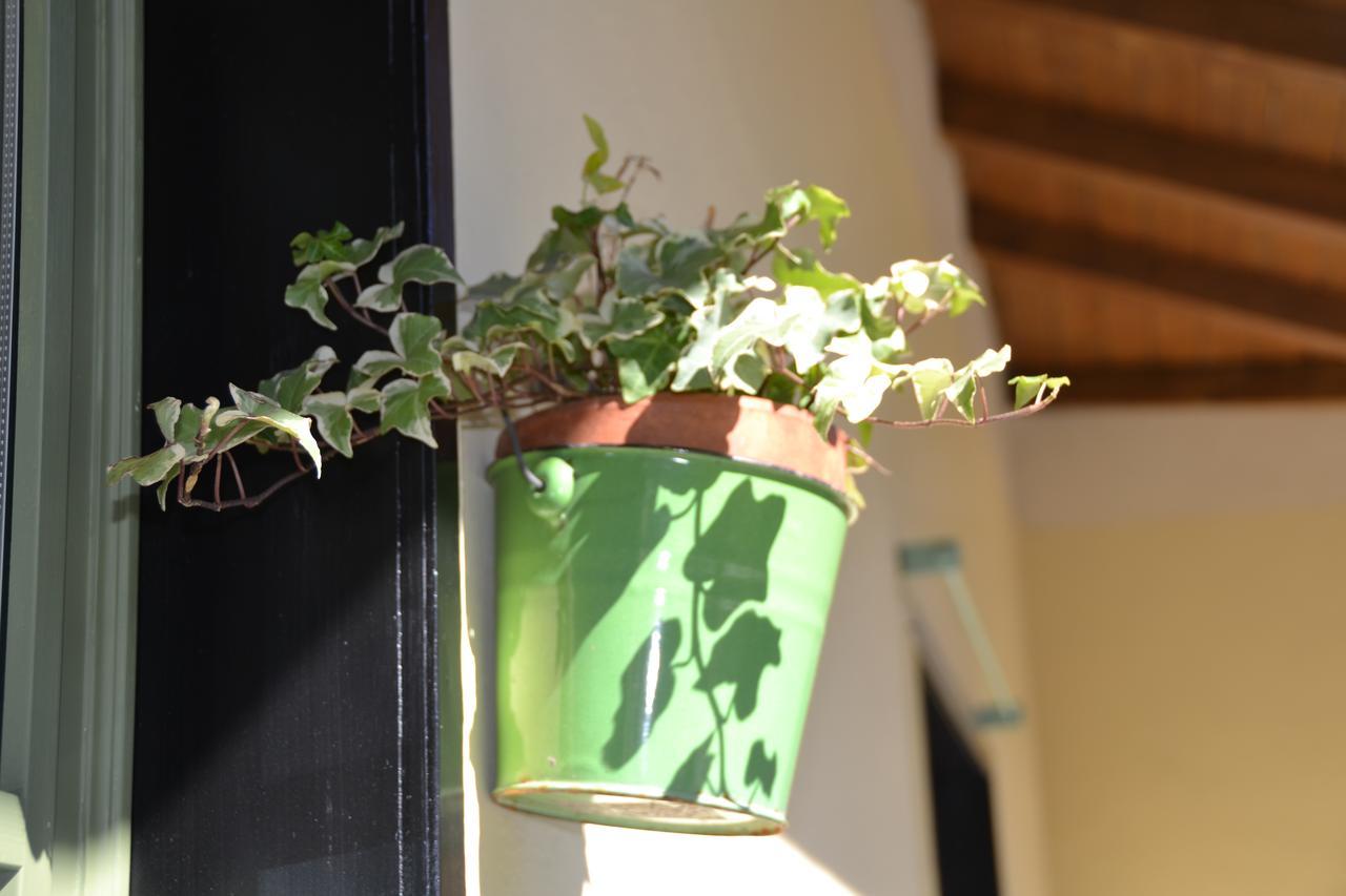 Bed and Breakfast Casa Nina Toirano Zewnętrze zdjęcie